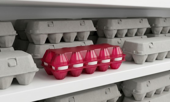 Упаковка для куриных яиц: надежная тара для хранения и продажи